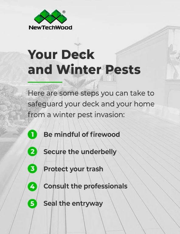 The Best Decking for Winter Weather