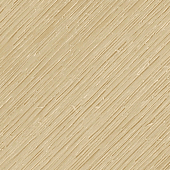 Japanese Cedar (CE)
