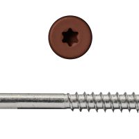 Stainless Steel Star Drive Pan Head Composite Fascia Screw - Sample