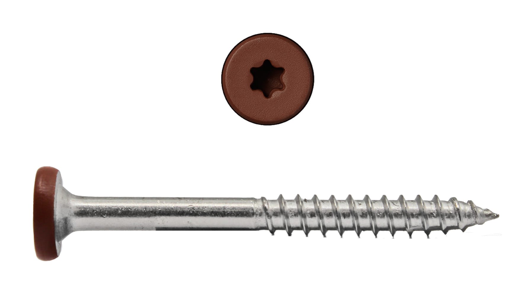 Stainless Steel Star Drive Pan Head Composite Fascia Screw – Sample