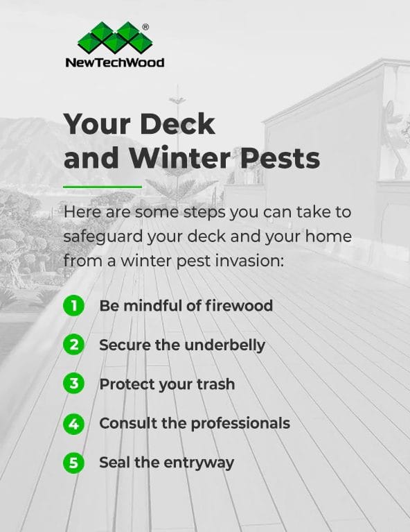 winter pests